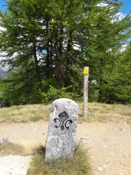 Prendere radice in Valle di Susa